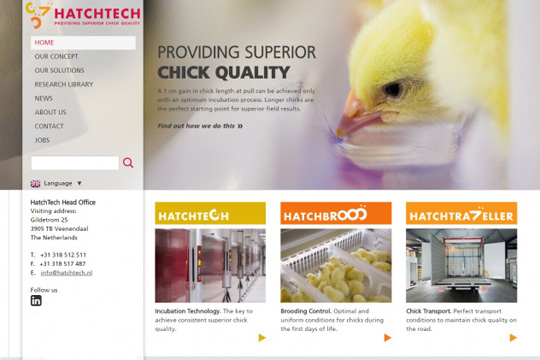 website Hatchtech